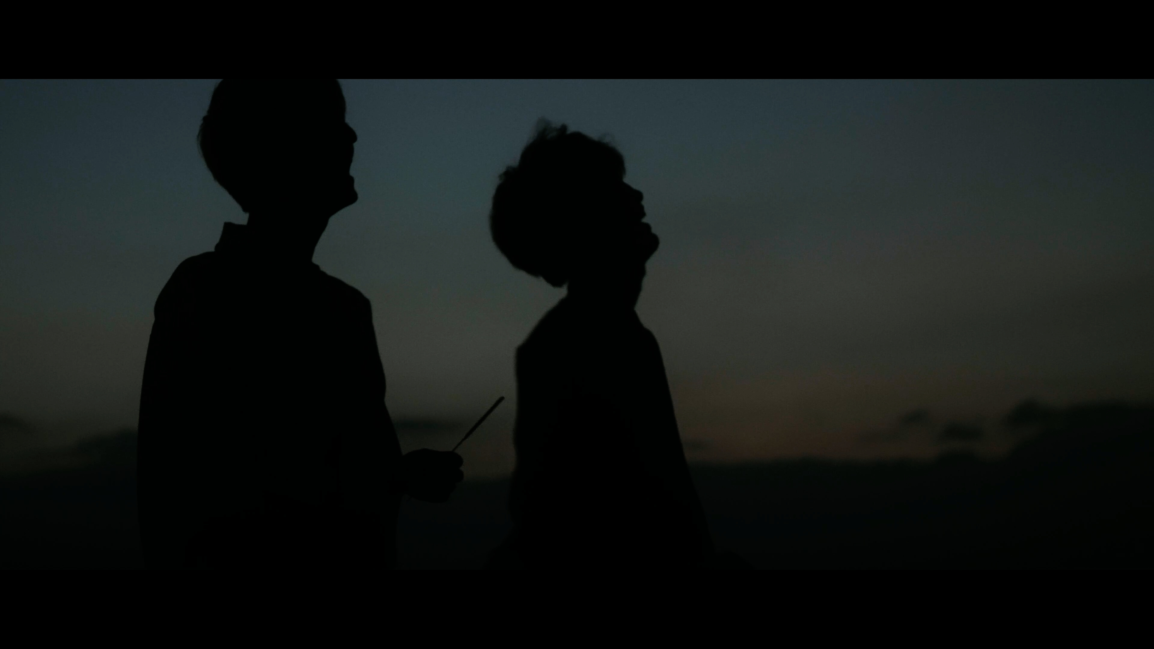 水井章人と上野凱の演じる青年が自らの過去やトラウマを浄化するささやかな時間を描いた、青春現像劇。全編鎌倉ロケ。